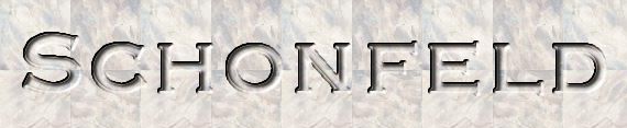 Schonfeld