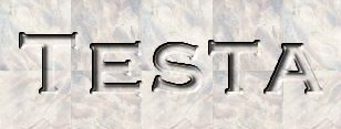 Testa